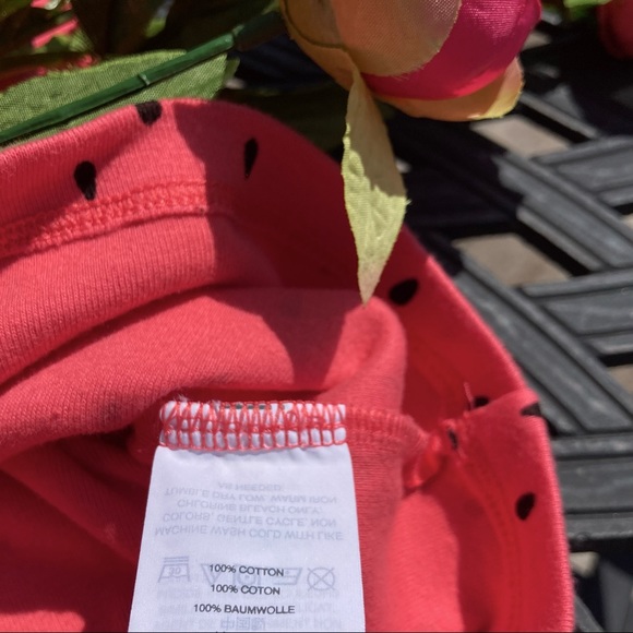 JCrew pink seeded green ringer watermelon t shirt NWOT Small - Picture 4 of 7